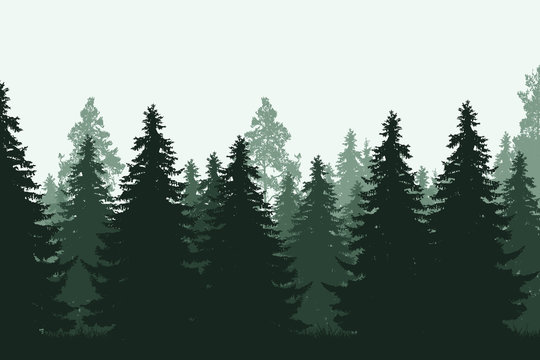 Green coniferous forest with grass - realistic vector