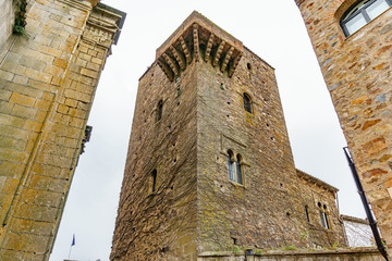 Vintage tower with ivy in caceres