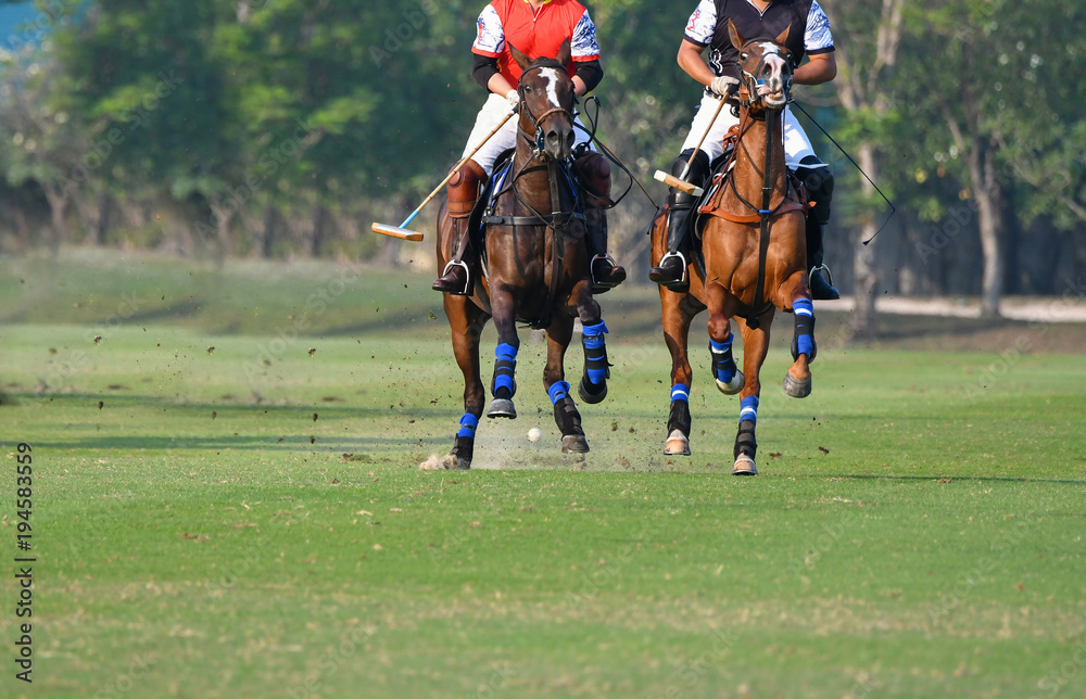 Wall mural Horse polo  players are competing in the polo field