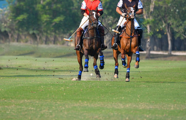 Horse polo  players are competing in the polo field