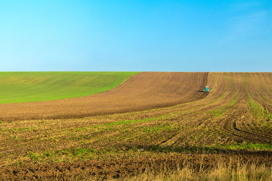 Winter wheat field in the fall with a tractor