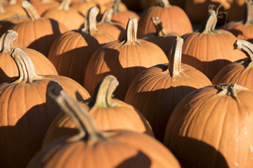 Pumpkins