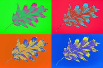 Psychedelic pop art colored dry autumn maple leaf