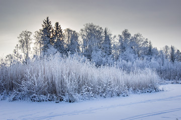 Frozen lake in winter land in Stockholm 