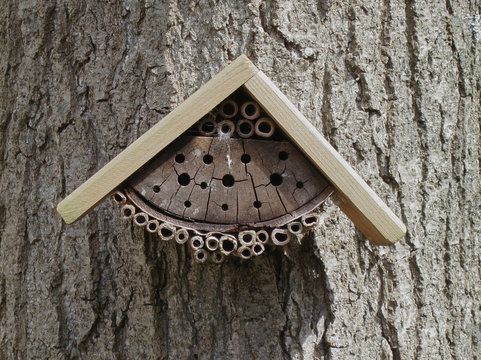 beehotel made of wood and bamboo
