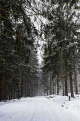 Winter road among the forests in the mountains.