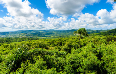 Farley Hill National Park on the Caribbean island of Barbados. It is a paradise destination with a...