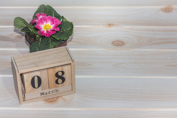 Wooden March 8 calendar, next to Flower pots on wooden table.