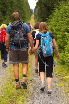 Group of tourists walking on the forest way