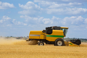 Obraz premium harvesting machine cuts wheat in the field, combine harvester, harvesting