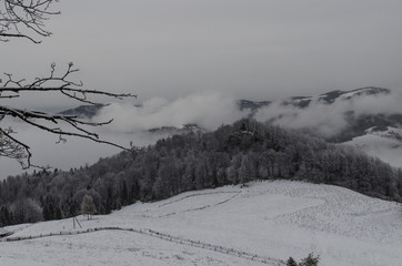 Zimowa panorama górska Pieniny 