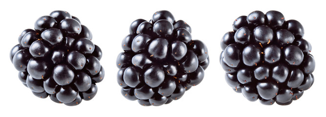 Blackberry. Fresh raw berries isolated on white background. Collection. With clipping path.