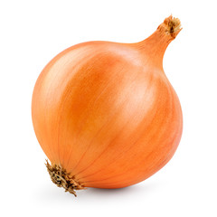 Onion isolated. Onion bulb on white background. With clipping path. Full depth of field.
