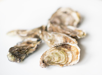 Oysters. Raw fresh oysters, image isolated, with soft focus. Restaurant delicacy.