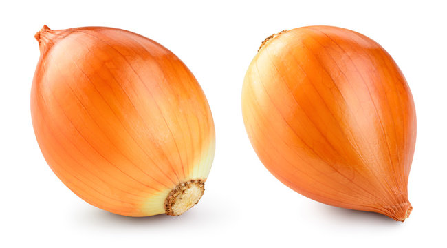 Onion. Onion bulb. Onion isolated on white. With clipping path. Full depth of field.