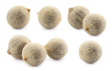 White pepper isolated on white background. Peppercorn collection. Macro. Full depth of field.