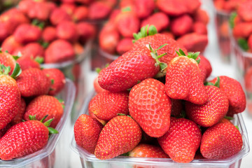 fresh strawberries in plastic boxes sold at city farmers market