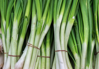 Fresh organic green onion sold at city farmers market