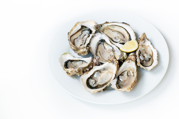 Oysters. Raw fresh oysters with lemon are on white round plate, image isolated, with soft focus. Restaurant delicacy.