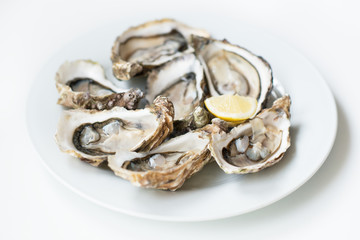 Oysters. Raw fresh oysters with lemon are on white round plate, image isolated, with soft focus....