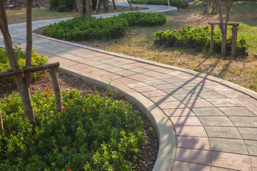 walkway and leaves in the park at thailand