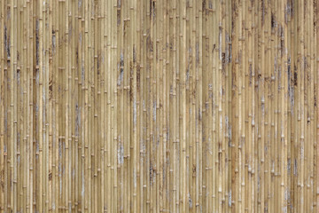 Bamboo texture background.