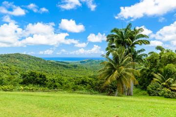 Tropical highland scenery on the Caribbean island of Barbados. It is a paradise destination with a white sand beach and turquoiuse sea.