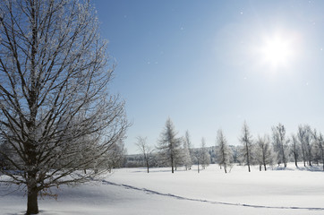 Wintry landscape, snowy wallpaper. Blue sky with snowflakes falling. Foot prints in the snow.