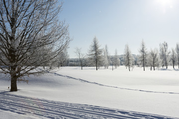 Fototapeta na wymiar Wintry landscape, snowy wallpaper. Blue sky with snowflakes falling. Foot prints in the snow.