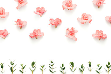 Creative Pattern With Soft Pink Azalea Flowers And Green Leaves On White Background