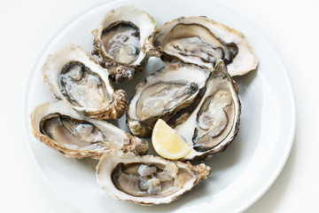 Oysters. Raw fresh oysters with lemon are on white round plate, image isolated, with soft focus. Restaurant delicacy.