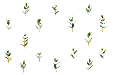 Fototapeta na wymiar Background With Green Leaves on White Background
