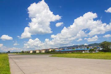 Under a clear sky in summer, the grasslands are vast and sunny.