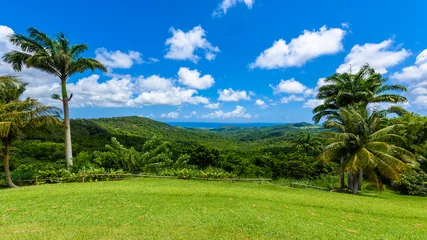 Fotobehang Tropical highland scenery on the Caribbean island of Barbados. It is a paradise destination with a white sand beach and turquoiuse sea. © Simon Dannhauer