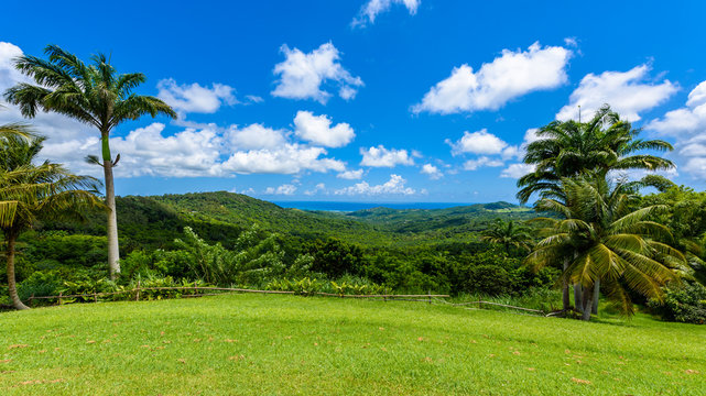 Barbados bridgetown town hi-res stock photography and images - Alamy