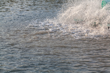 outdoor water reflection in the pond at thailand