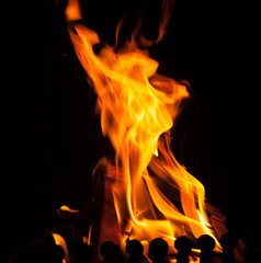 Middle flames in the fireplace black-white