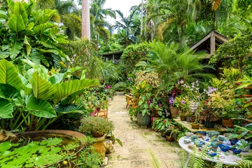Canvas schilderij Tuin Hunte& 39 s Botanische Tuin op het Caribische eiland Barbados. Het is een paradijselijke bestemming met een wit zandstrand en een turquoise zee.  © Simon Dannhauer