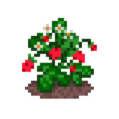 Wild strawberries on a bush growing in a bed, pixel art icon. Old school 8 bit illustration isolated on white background. Gardening symbol. Eco fruit emblem. Retro 80s,90s video game object design.