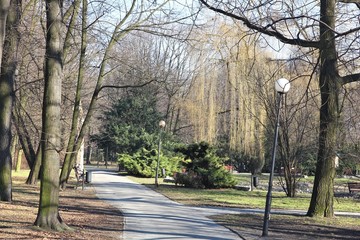 Early spring park