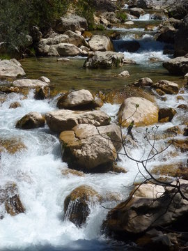 Ruta rio Borosa en Cazorla, Jaen (Andalucia,España)