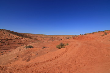 Fototapeta na wymiar アリゾナの砂漠
