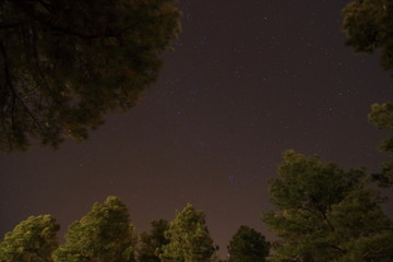 アリゾナの星空