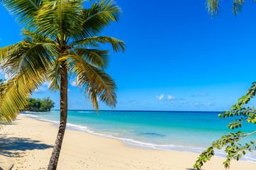 Mullins Beach - tropical beach on the Caribbean island of Barbados. It is a paradise destination...