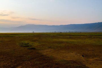 Obraz premium Ngorongoro Conservation Area Landscape and Wildlife
