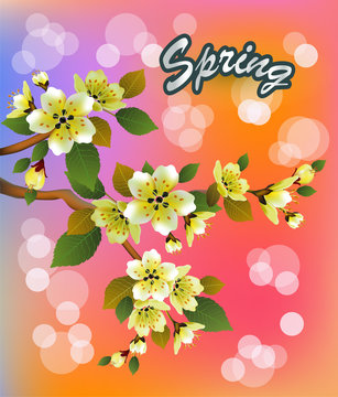 Vector illustration
spring. All wakes up, flowers sakura blossom.Postcard 