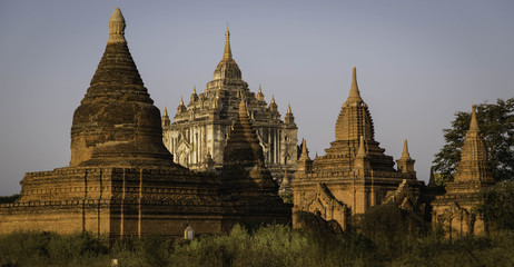 Fototapeta premium Myanmar Pagode Bagan