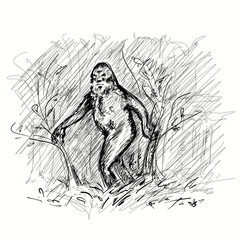 Bigfoot in the wild forest. Yeti walks through the trees. Legendary humanoid creature preserved from prehistoric times.  