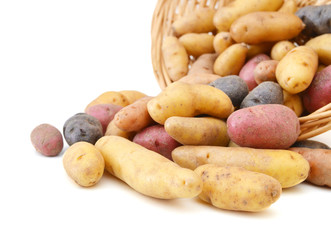 Fresh colorful potatoes red white blue in basket on white background