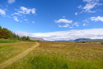 Fototapeta na wymiar scenic view of beautiful green field with blue sky, Iceland